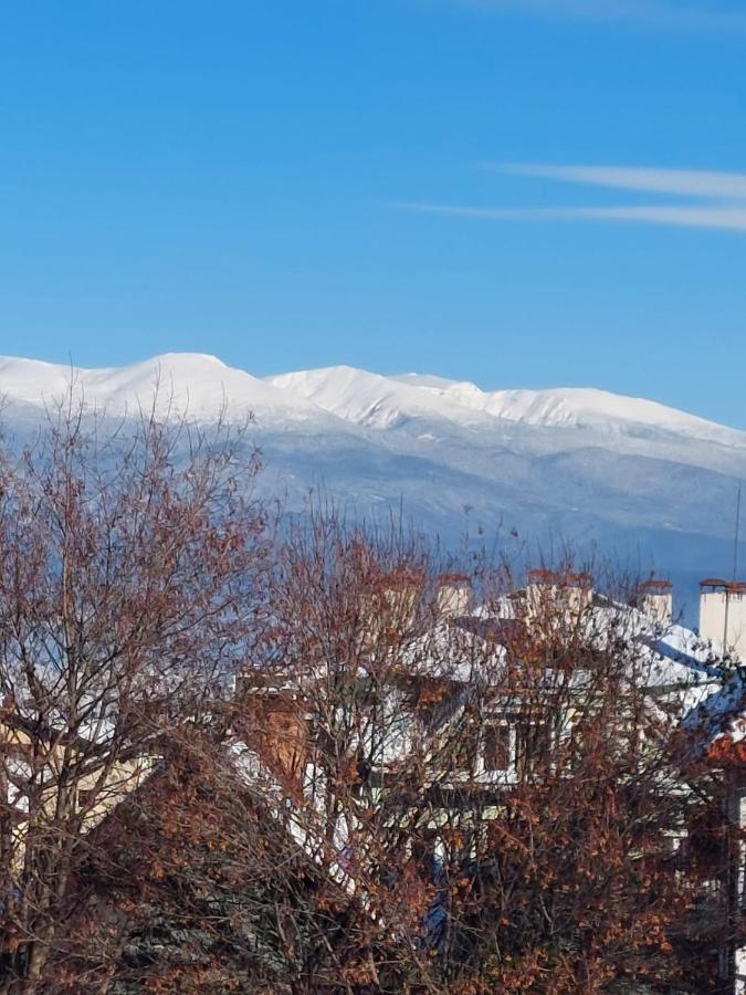 Лукс Апартамент Bansko Eksteriør billede